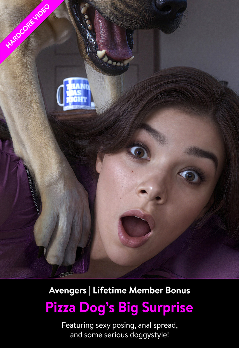 piz dog Preview 800x